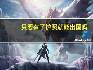 只要有了护照就能出国吗
