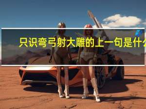 只识弯弓射大雕的上一句是什么