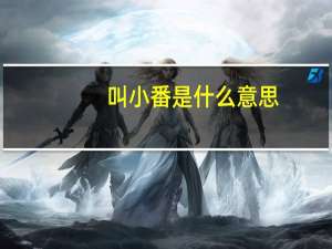 叫小番是什么意思