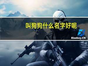 叫狗狗什么名字好呢