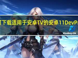 可下载适用于安卓TV的安卓11DevPreview