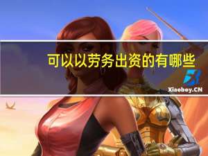 可以以劳务出资的有哪些