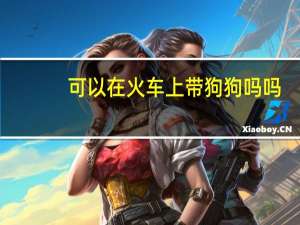 可以在火车上带狗狗吗吗