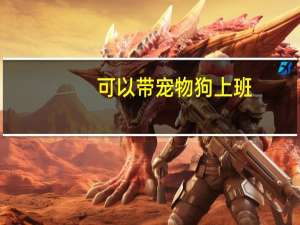 可以带宠物狗上班