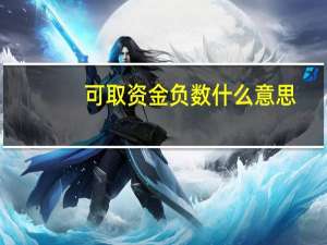 可取资金负数什么意思