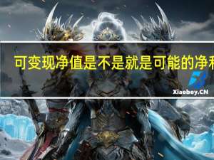 可变现净值是不是就是可能的净利润，书上说是资产预计售价减去进一步加工成本和预计销售费用及税费。