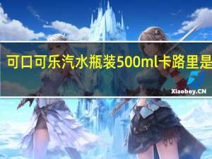 可口可乐 汽水 瓶装500ml卡路里是多少