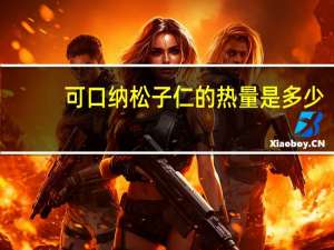 可口纳 松子仁的热量是多少