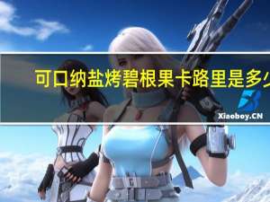 可口纳 盐烤碧根果卡路里是多少