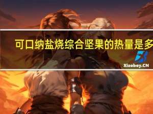 可口纳 盐烧综合坚果的热量是多少