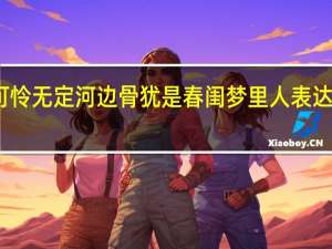 可怜无定河边骨犹是春闺梦里人表达了诗人