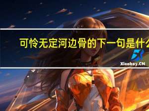 可怜无定河边骨的下一句是什么