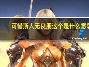 可惜斯人无良朋这个是什么意思