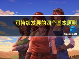 可持续发展的四个基本原则