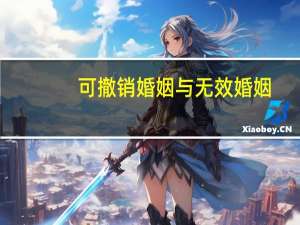 可撤销婚姻与无效婚姻