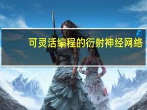 可灵活编程的衍射神经网络