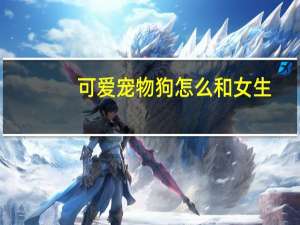 可爱宠物狗怎么和女生