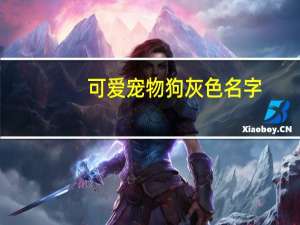 可爱宠物狗灰色名字