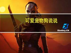 可爱宠物狗说说