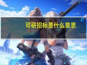 可研招标是什么意思