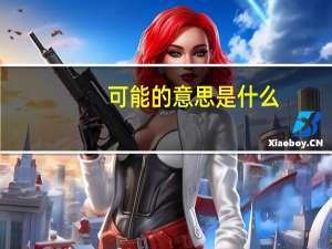可能的意思是什么