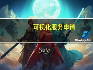 可视化服务申请（可视化服务）