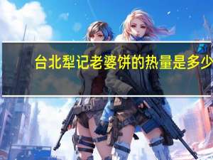 台北犁记 老婆饼的热量是多少