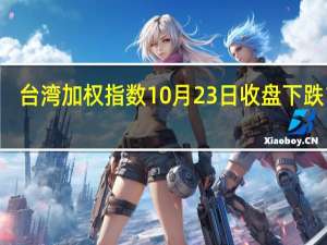 台湾加权指数10月23日（周一）收盘下跌189.36点跌幅1.15%报16251.36点