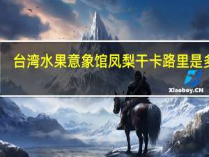 台湾水果意象馆 凤梨干卡路里是多少