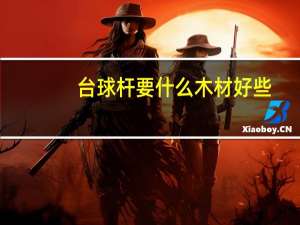 台球杆要什么木材好些
