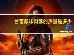 台畜 原味肉酥的热量是多少