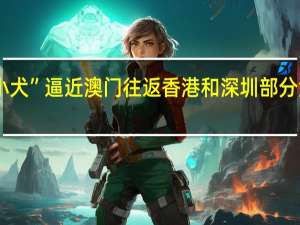 台风“小犬”逼近 澳门往返香港和深圳部分海上航班取消