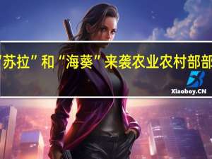 台风“苏拉”和“海葵”来袭农业农村部部署防御工作