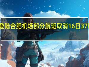 台风将登陆 合肥机场部分航班取消 16日37班取消请注意