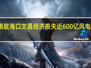 台风摩羯致海口文昌经济损失近600亿 风电机组严重受损