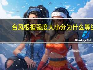 台风根据强度大小分为什么等级