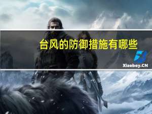 台风的防御措施有哪些