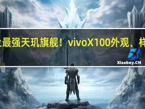 史上最强天玑旗舰！vivo X100外观、样张全揭晓