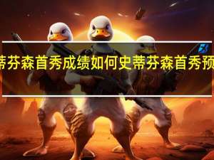 史蒂芬森首秀成绩如何史蒂芬森首秀预示了什么