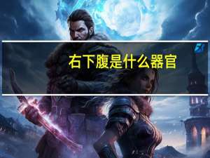 右下腹是什么器官（左下腹是什么器官）