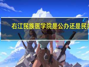右江民族医学院是公办还是民办