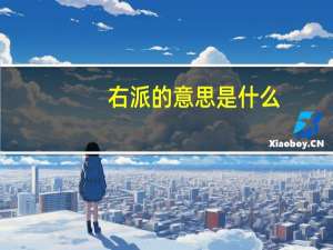 右派的意思是什么