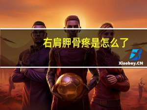 右肩胛骨疼是怎么了（右肩胛骨疼是怎么回事）