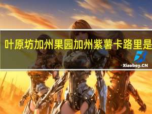 叶原坊 加州果园加州紫薯卡路里是多少