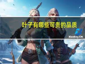 叶子有哪些可贵的品质
