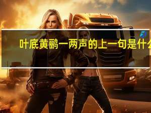 叶底黄鹂一两声的上一句是什么