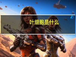 叶细胞是什么