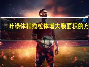 叶绿体和线粒体增大膜面积的方式