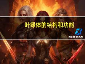 叶绿体的结构和功能