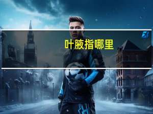 叶腋指哪里